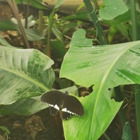 Photo taken at Butterfly Paradise by Alexander on 4/3/2024