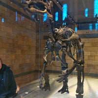 Photo taken at Dinosaur Gallery by Alexander on 4/4/2024
