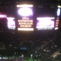 Photo taken at 136th Westminster Kennel Club Dog show by Cats P. on 2/13/2013