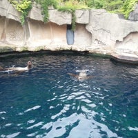 Vancouver Aquarium Gift Shop Stanley Park 2 Tips From 210 Visitors