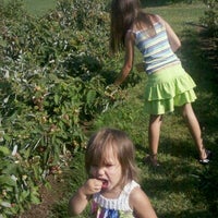 Door Creek Orchard Farm In Cottage Grove
