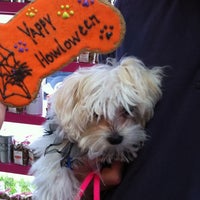 Photo taken at Woof Gang Bakery &amp; Grooming Winter Park by 🍂Autumn🍃 on 10/29/2011