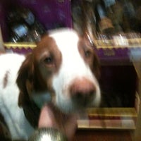 Photo taken at Uptown Pups by Amy S. on 12/11/2011