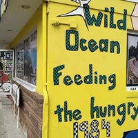 Wild ocean cheap surf shop