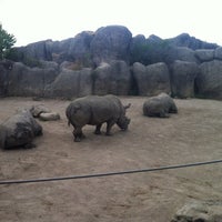 Photo taken at White Rhino Exhibit by George D. on 6/10/2012