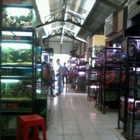 Pasar Ikan Hias Bunga Radio Dalam Kebayoran Baru Radio Dalam