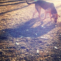 Photo taken at Seger Dog Park by Shawn Z. on 3/14/2012