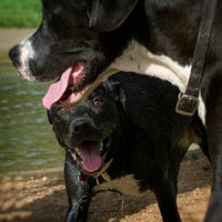 Photo taken at Lents Family Dog Park by Mega M. on 7/28/2012