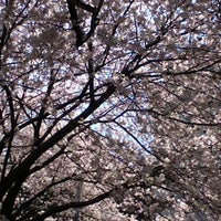 横須賀市立児童図書館 横須賀 38 Visitors