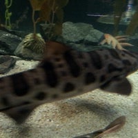 Photo taken at National Aquarium by Aleeya G. on 6/27/2012
