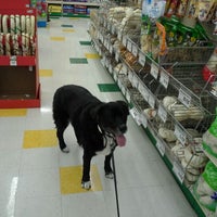 Photo taken at Pet Supplies Plus Chicago by Margaret Gosia K. on 12/5/2012