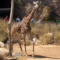 Photo taken at Giraffes by Jeremy B. on 7/18/2018