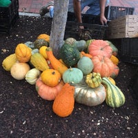 Photo taken at Marietta Farmer&amp;#39;s Market by Emily on 10/14/2017
