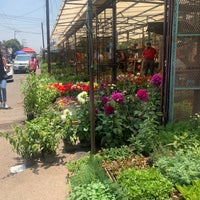 Photo taken at Mercado de Plantas y Flores  Madreselva by Diana R. on 7/14/2021