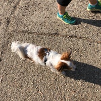 Photo taken at Studio City LA River Dog Trail by Elliot D. on 12/31/2017