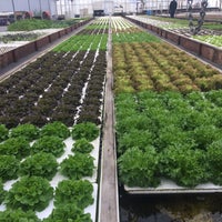 Aquaponics farm half moon bay Exclusive: Peninsula man is latest Bay Area resident arrested in Jan. 6 U.S. Capitol breach