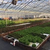 aquaponics - ouroboros farms - 2 tips from 75 visitors