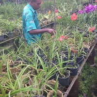 Happy Pots Enterprise Jln Kuala Kangsar Garden Center