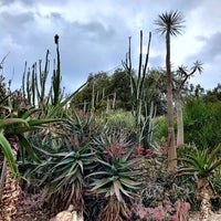 Photo taken at Los Angeles County Arboretum and Botanic Garden by Nessie on 3/12/2018