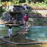 The Pinewood Lodge Organic Farm