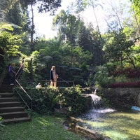 The Pinewood Lodge Organic Farm