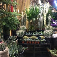 Photo taken at PlantShed New York Flowers by Tiffany W. on 12/27/2018