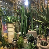 Photo taken at PlantShed New York Flowers by Tiffany W. on 12/27/2018