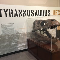 Photo taken at Colossal Head - National Museum of Natural History by Tiffany W. on 3/24/2018