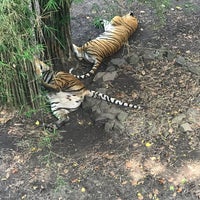 Photo taken at Zoo Johor by 🎀 ziRa . on 11/11/2019