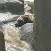 Photo taken at The Forest At The Zoo by Adrienne W. on 8/12/2016