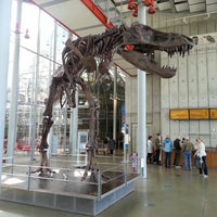 Photo taken at California Academy of Sciences by Santiago V. on 2/25/2013