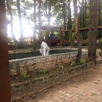 8/29/2021 tarihinde Zeynep E.ziyaretçi tarafından Şile Sihirli Bahçe'de çekilen fotoğraf