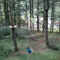 North Park Go Ape Zip Line Treetop Adventure Freizeitzentrum