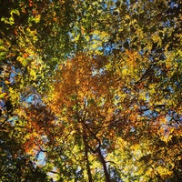 Photo taken at Rock Creek Park Grove 1 by Eric F. on 10/26/2014