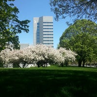 Johnson Johnson Hq Office