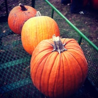 10/21/2012 tarihinde Jennifer C.ziyaretçi tarafından Wickham Farms'de çekilen fotoğraf