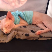 Review Makassar Town Square (M'TOS)