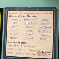 Banfield Pet Hospital Virginia Gateway 4 Tips