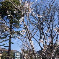 Photo taken at Baji Koen by Ryota K. on 3/30/2024
