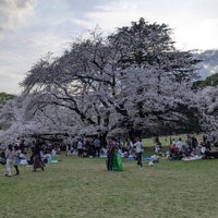 Photo taken at Kinuta Park by Ryota K. on 4/7/2024
