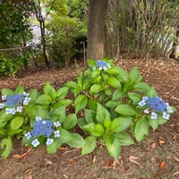 Photo taken at 幕張西2丁目緑地 by TT _. on 6/20/2022