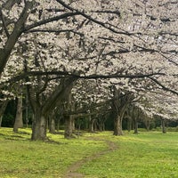 Photo taken at 習志野の草原 by TT _. on 4/5/2024