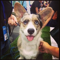 Photo taken at American Kennel Club Meet The Breeds by Dmitry S. on 9/29/2013