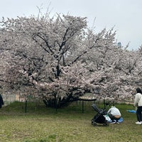 Photo taken at Kinuta Park by A. M. on 4/6/2024
