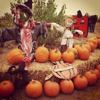 Mountain Valley Ranch Pumpkin Patch Farm