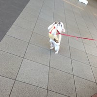 大黒スカイテリア Artik Kapali 鶴見区 横浜市 神奈川県