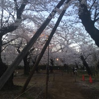 Photo taken at 桜山 by Yasuhiro A. on 4/4/2019