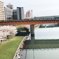 さくら大橋 江東区 江戸川区の橋