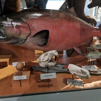 Photo taken at Alaska State Museum by Renee on 7/7/2019