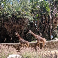 Photo taken at Giraffes by Renee on 5/31/2019